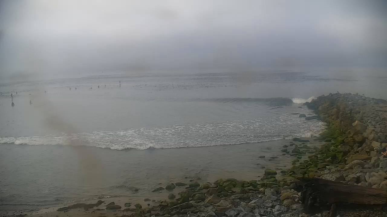Windansea Surf Report and Surf Forecast - Surfline