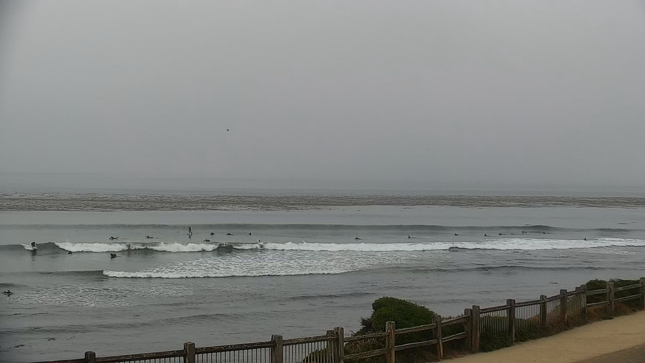 Windansea Surf Report and Surf Forecast - Surfline